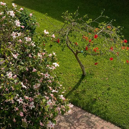 Semesteranläggning (resort) Madama Club Village