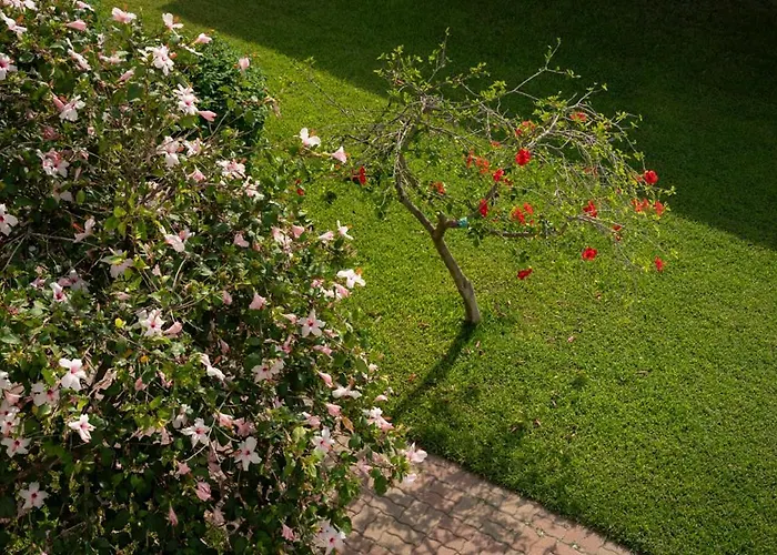 度假村 Madama Club Village